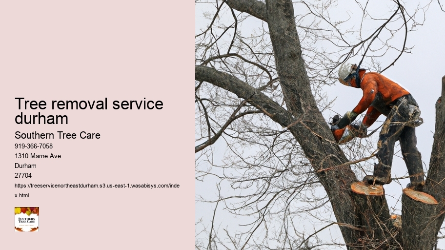 tree removal service durham