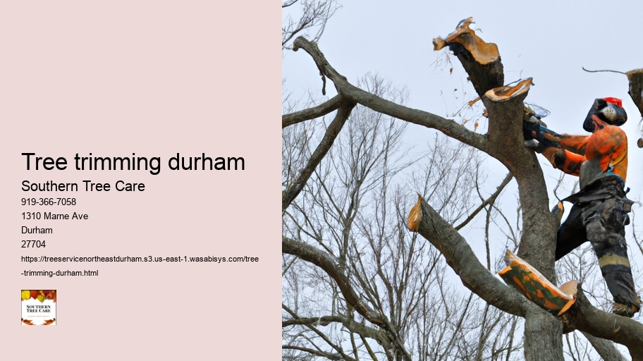 tree trimming durham